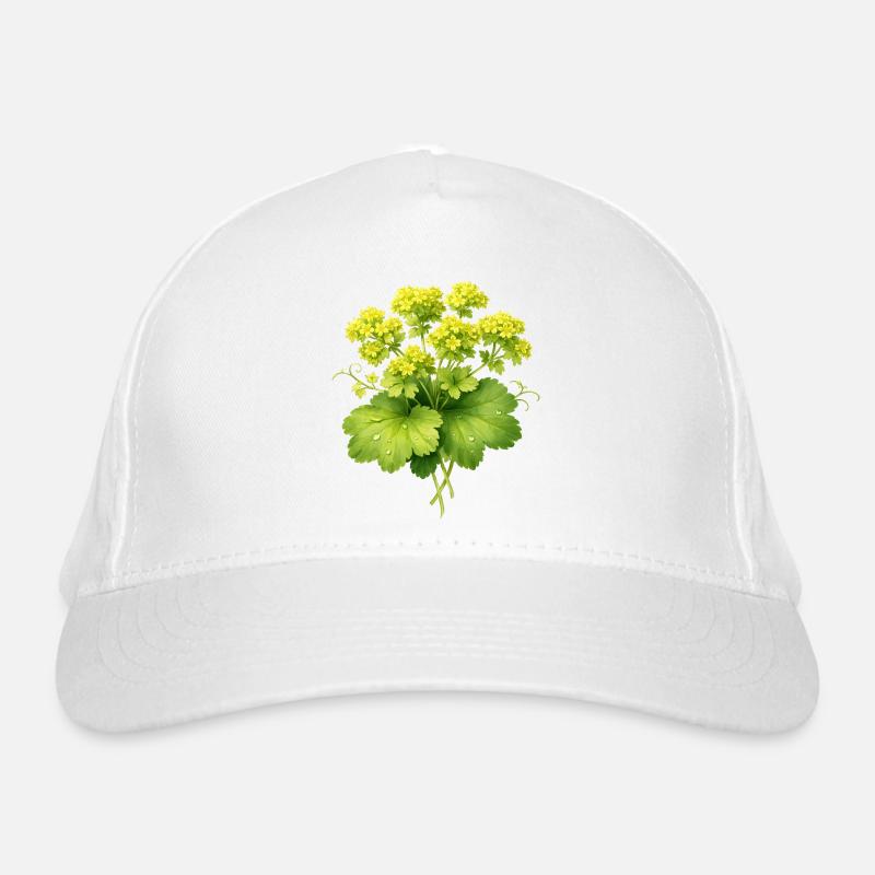 Plante de manteau de dame avec des fleurs Casquette classique bio