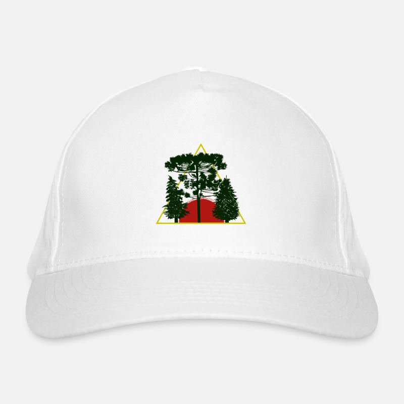 Arbre Casquette classique bio