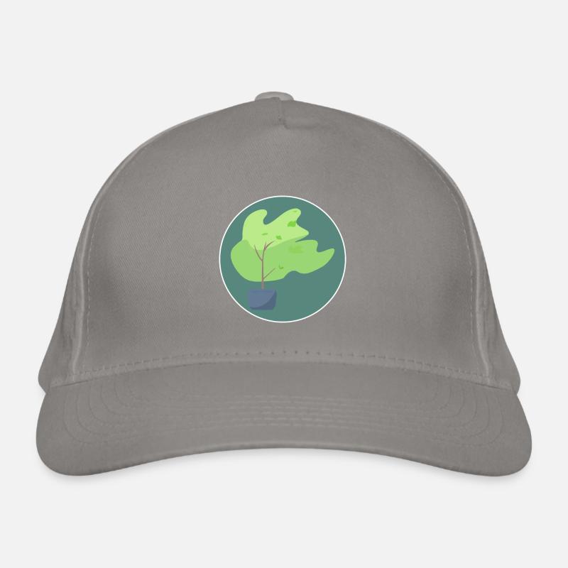 Arbre Casquette classique bio