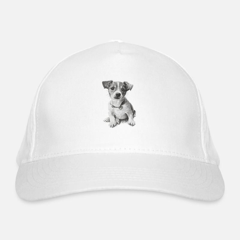 Chien Casquette classique bio