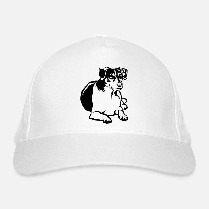 Dansk Svensk Gaardhond Casquette classique bio