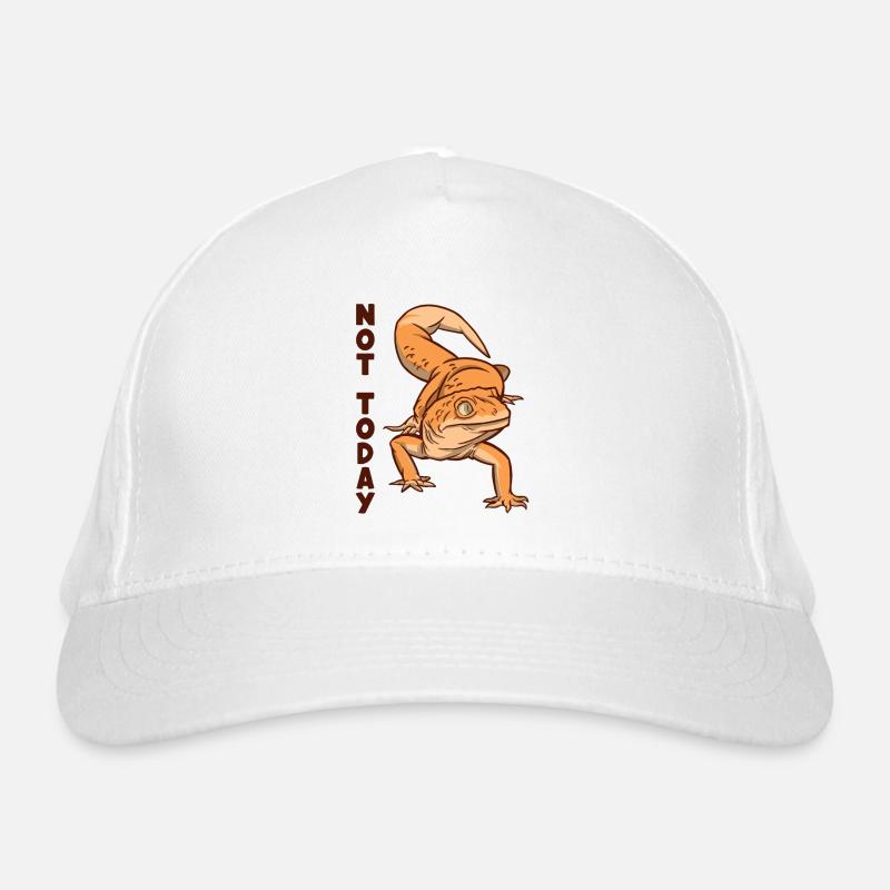 Nicht heute Gekkota Schopfeidechse Gecko Experte Bio-Baseballkappe