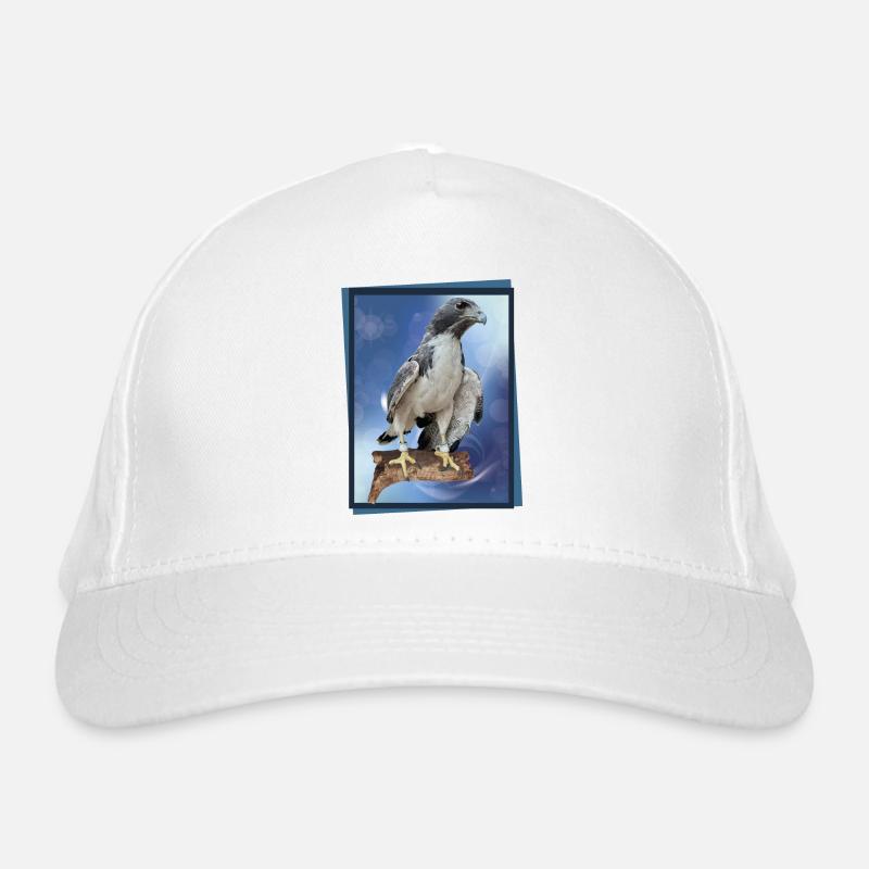 Faucon Casquette classique bio