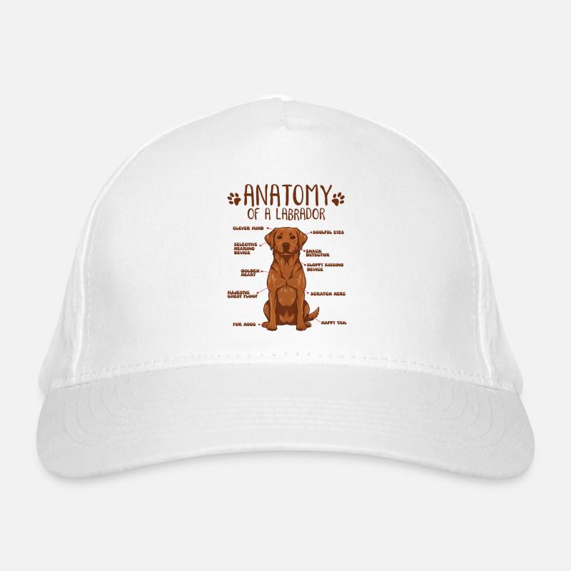 Anatomie eines Fox Red Labradors Bio-Baseballkappe