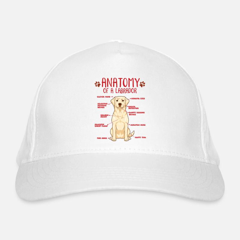 Chemise jaune d’anatomie Labrador Casquette classique bio