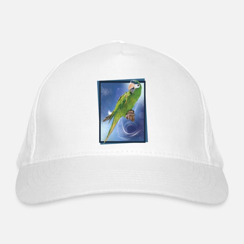 Casquette classique bio