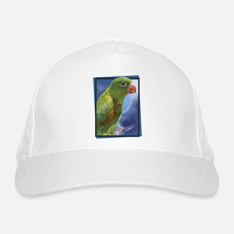 Casquette classique bio