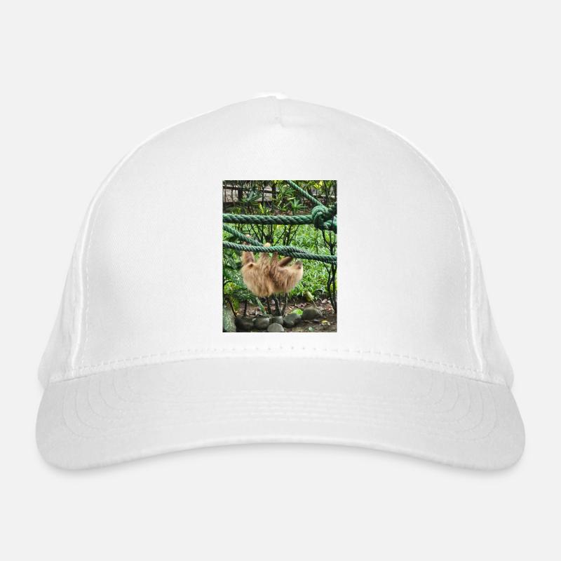FDE55127 B425 41D4 9D84 D3726CA8F246 Organic Baseball Cap
