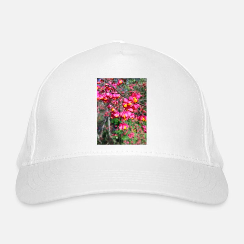 Organic Baseball Cap