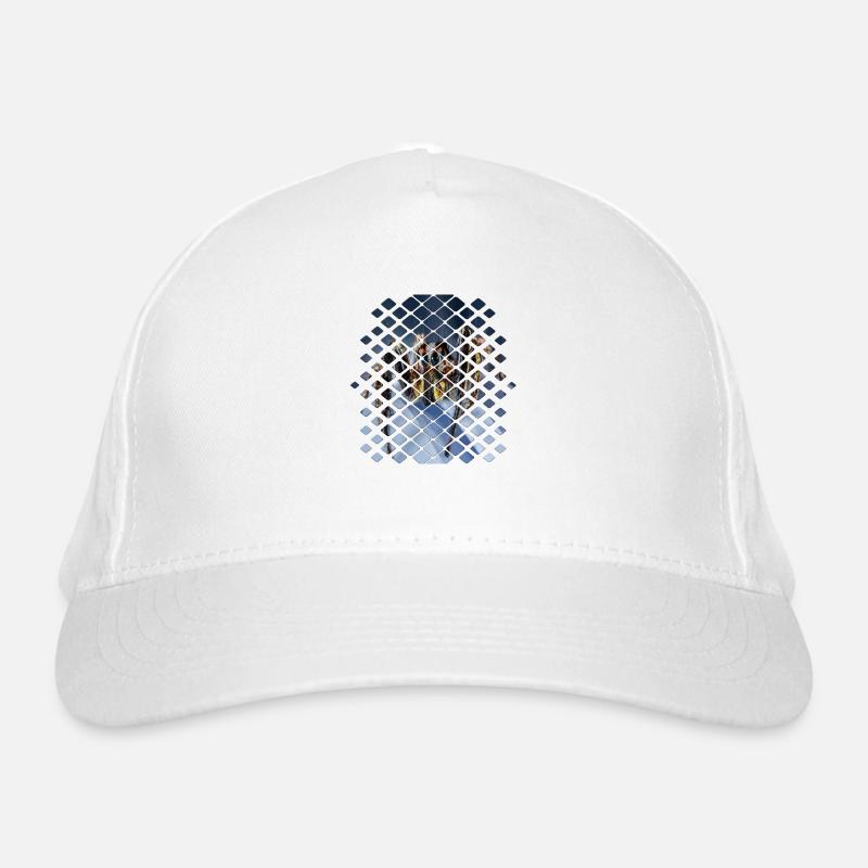 spider Organic Baseball Cap