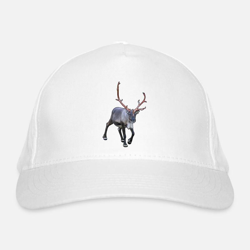 Renne Casquette classique bio
