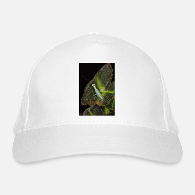 Tropidomantis cf tenue - Bio-Baseballkappe - Weiß