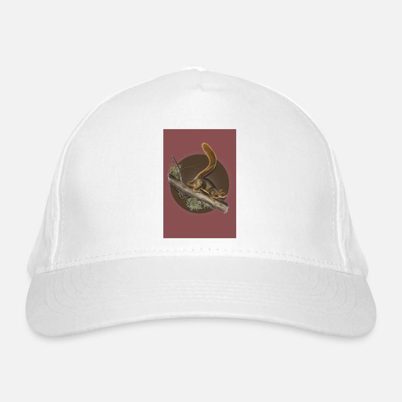 Casquette classique bio