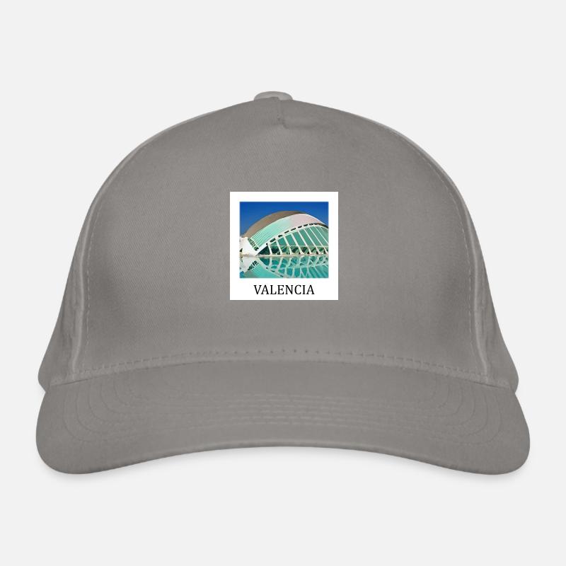 Valence Organic Baseball Cap