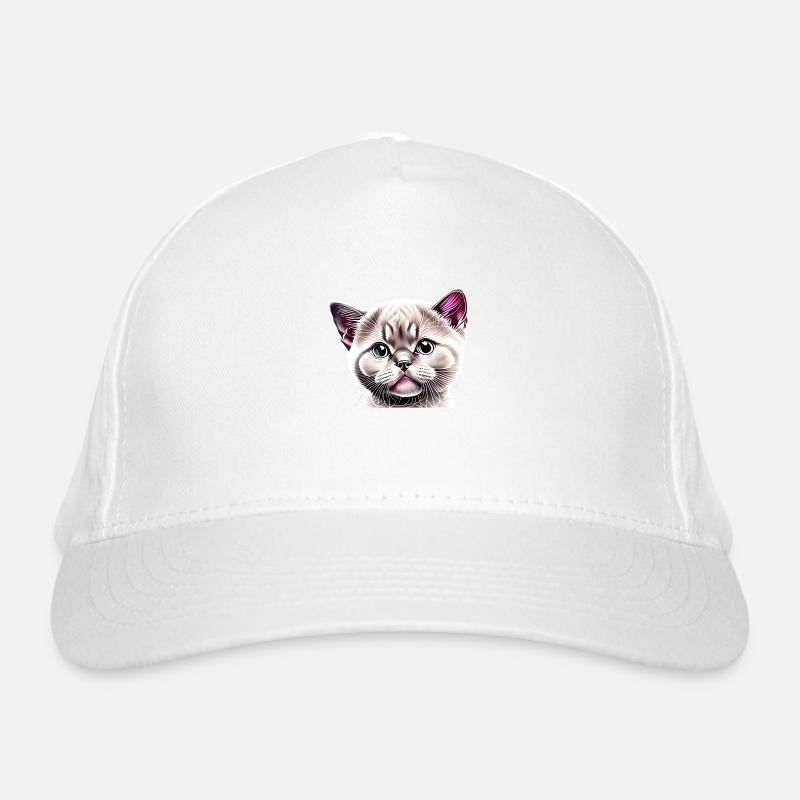 British Shorthair, Chat, Chaton, Chats, Chats, Tomcats, Casquette classique bio