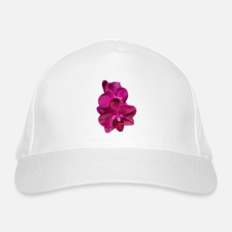 Phalaenopsis Hybride Rose Violet Fleur d’Orchidée Casquette classique bio
