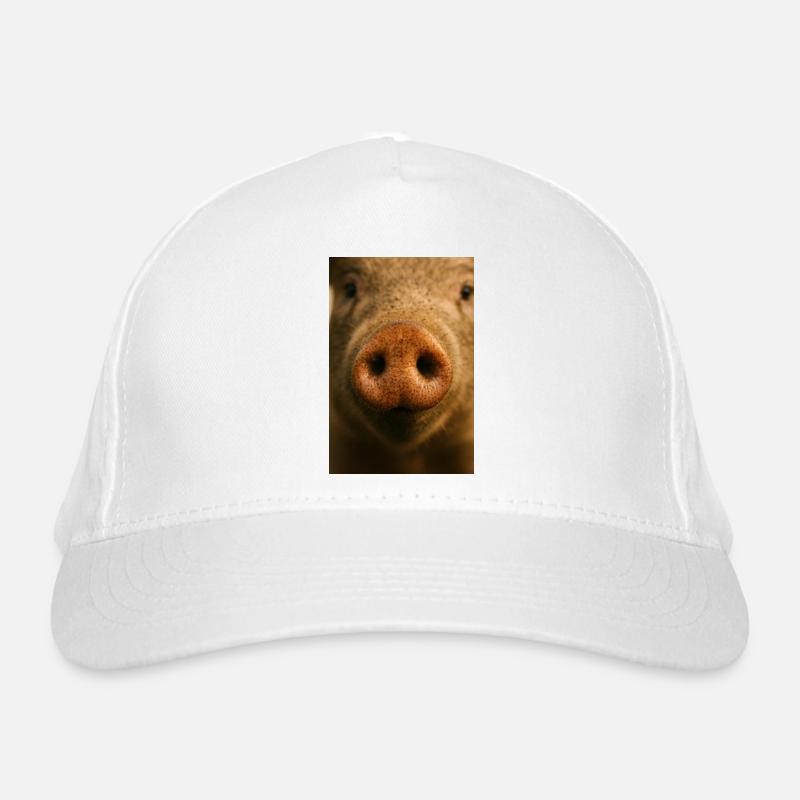 Gros plan chaleureux du museau de cochon Casquette classique bio