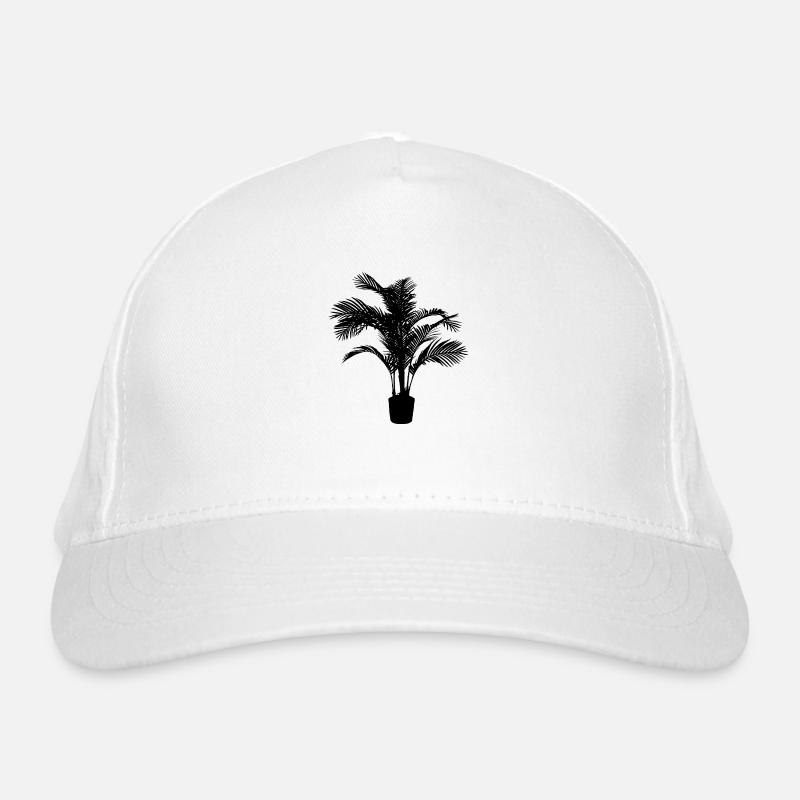 Plante d’intérieur noire Casquette classique bio