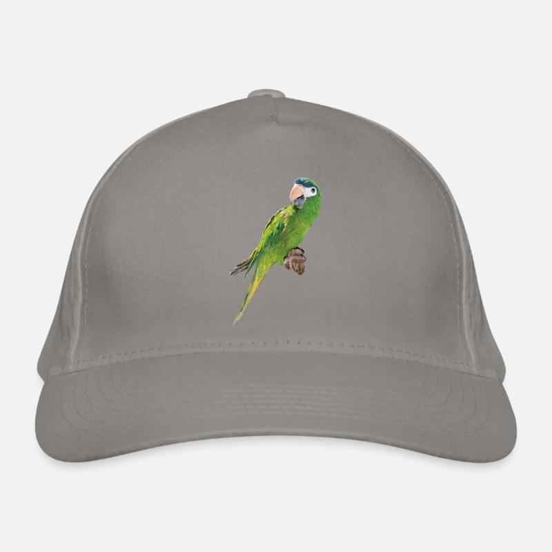 Le noble ara Casquette classique bio