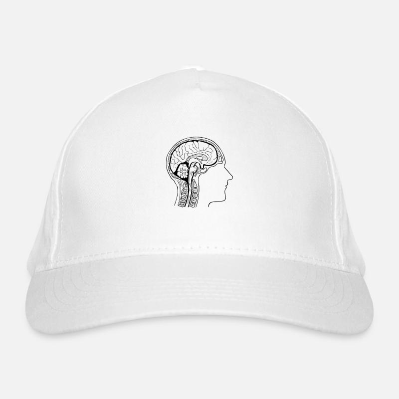anatomie Casquette classique bio