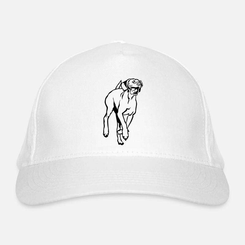 Casquette classique bio