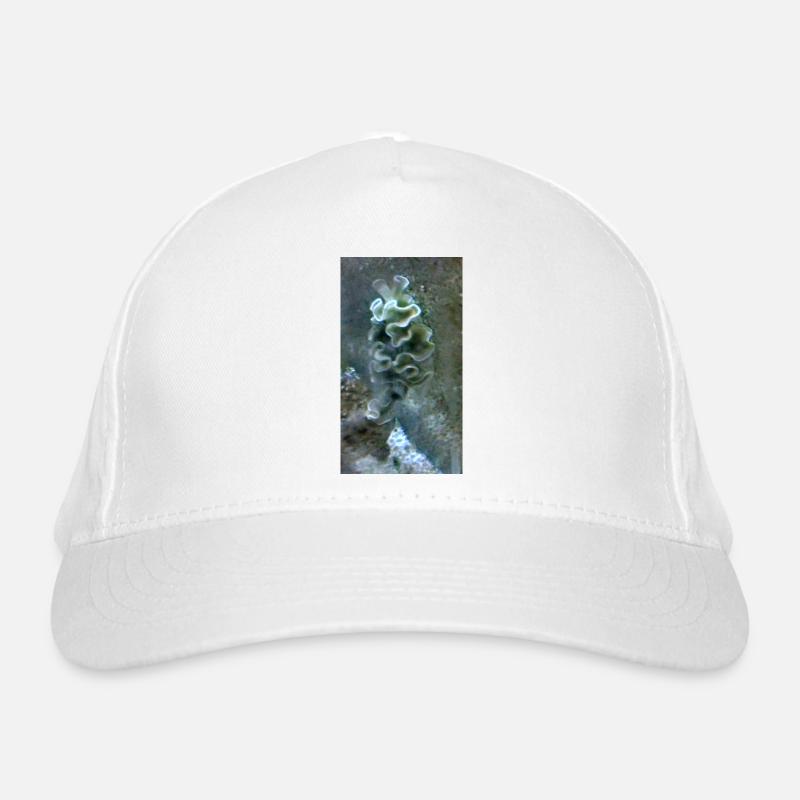 Escargot de mer Casquette classique bio