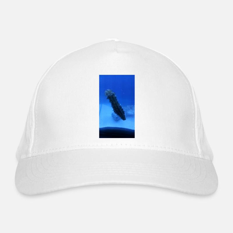 Lake Roller Organic Baseball Cap