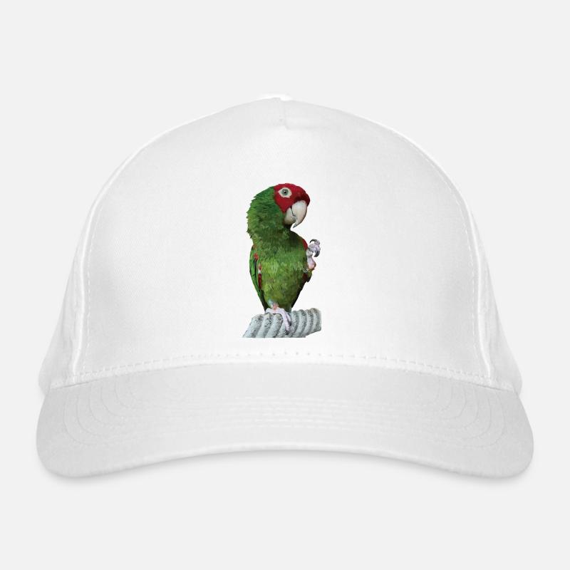 Perroquet à tête rouge Casquette classique bio