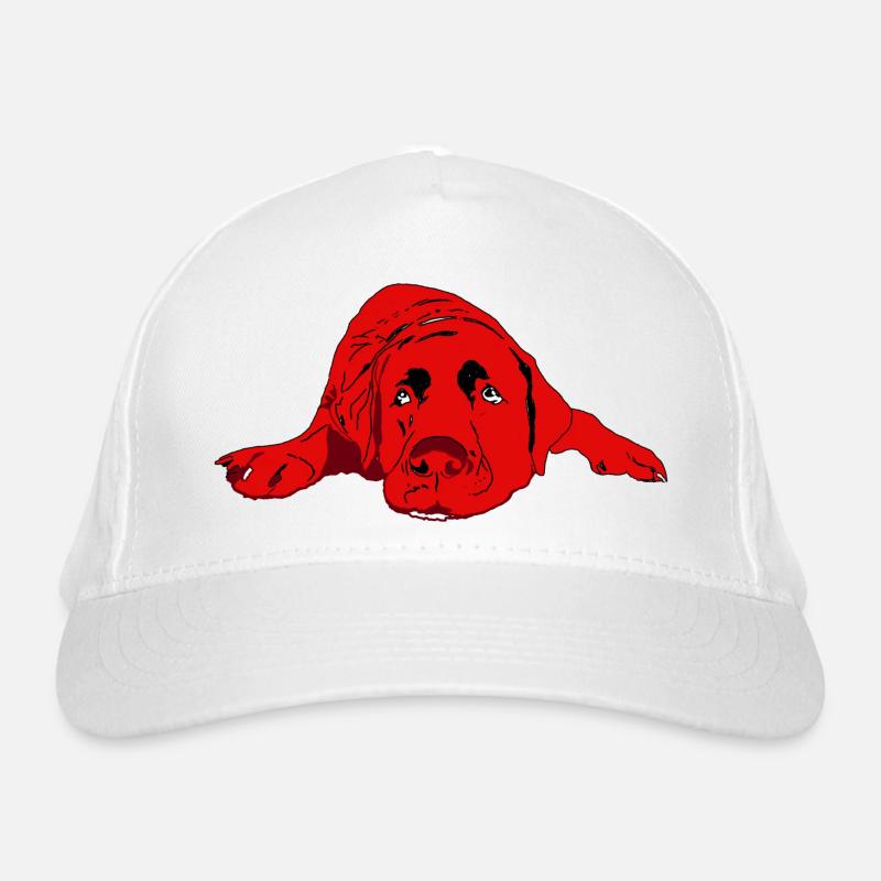 Labrador Casquette classique bio
