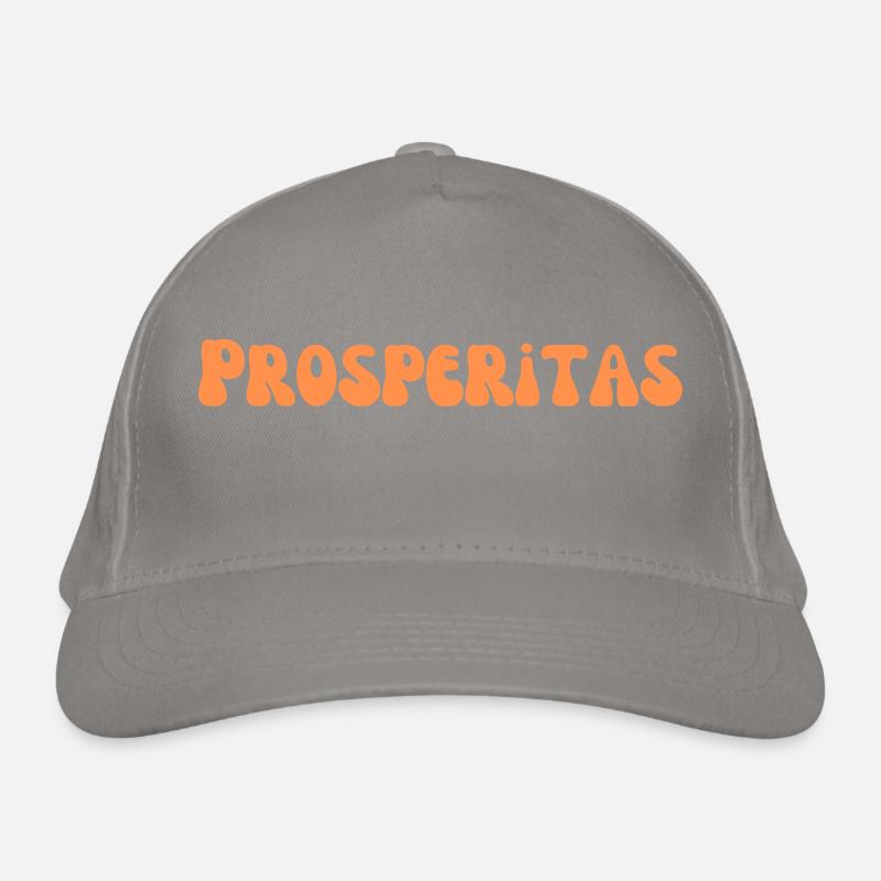 Prosperitas 🧡 Success │ Power statement Organic Baseball Cap
