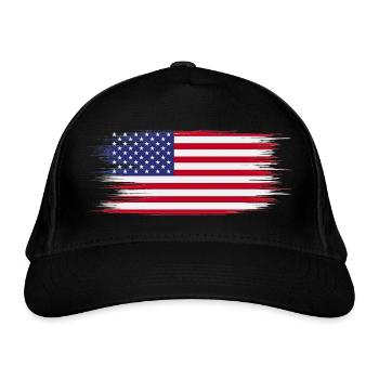 American Flag Brush - Organic Baseball Cap - black - Front