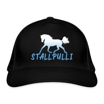 Stallpulli Pferd Reiten Reitstall Reiterhof Stall - Bio-Baseballkappe - Schwarz - Vorne