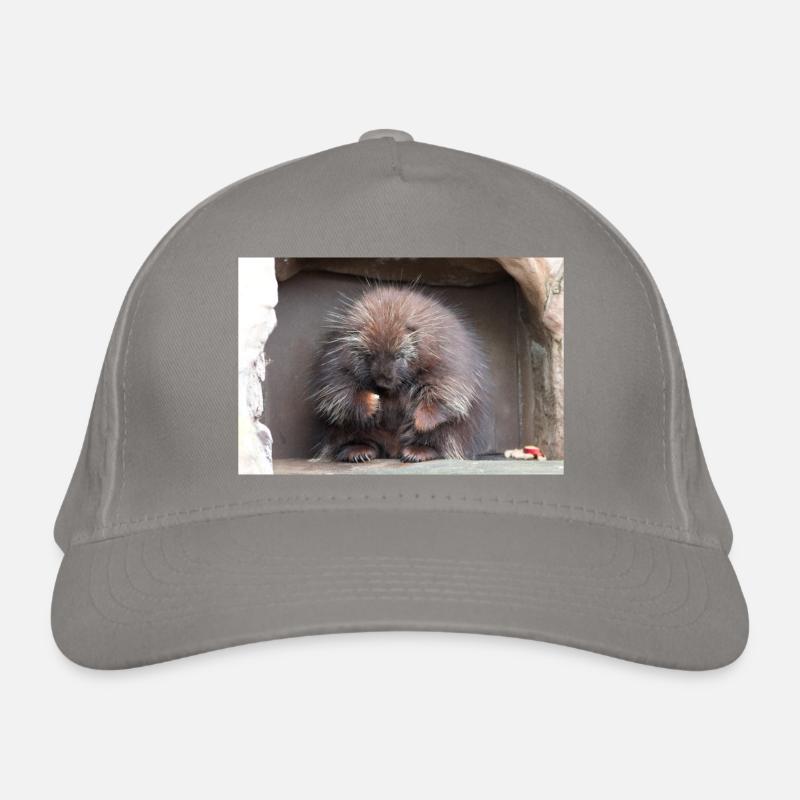 Tree-spined New World porcupines Erethizontidae Organic Baseball Cap