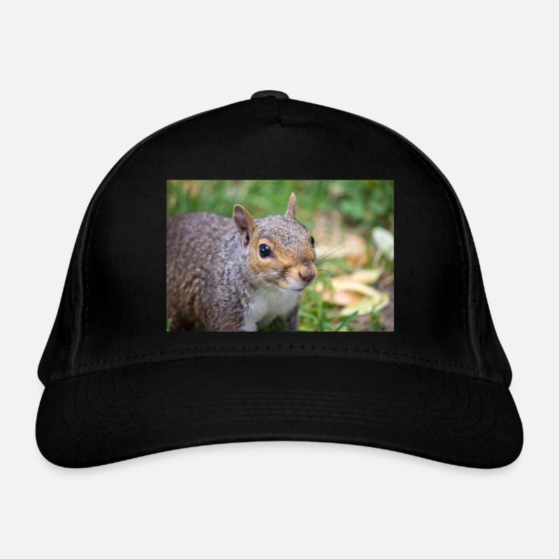 Écureuil gris (en allemand Grauhörnchen) Sciurus Casquette classique bio