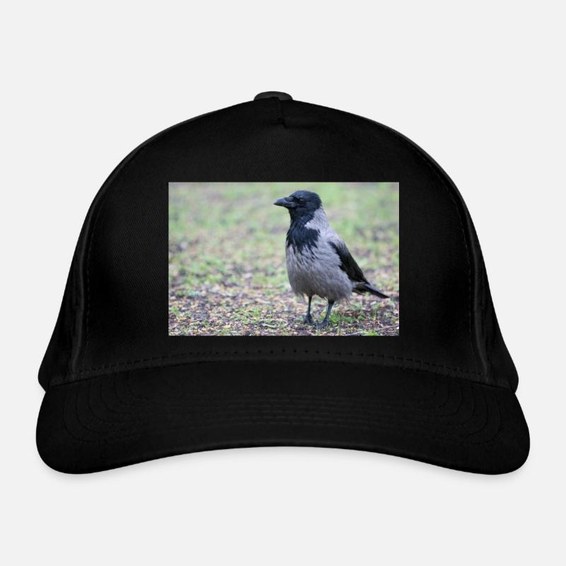 Rabenkrähe (Aaskrähe, Corvus corone) Bio-Baseballkappe
