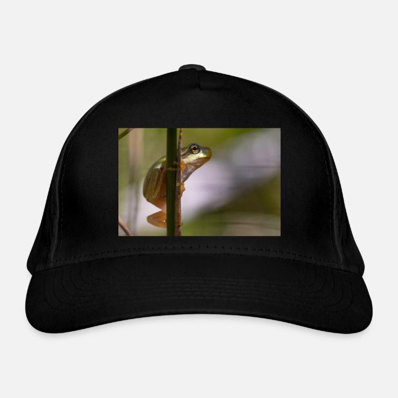 Casquette classique bio