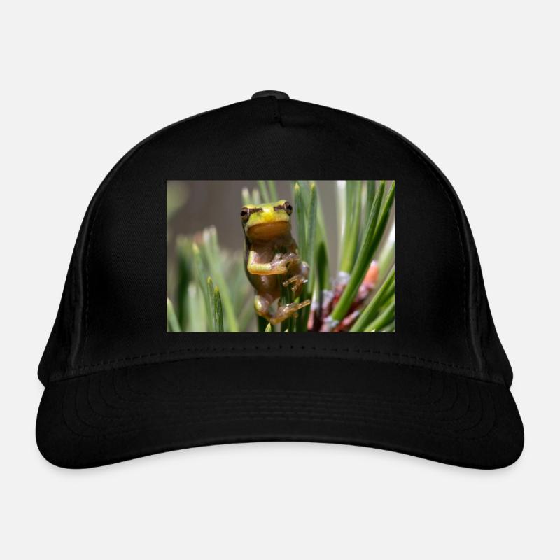 Casquette classique bio