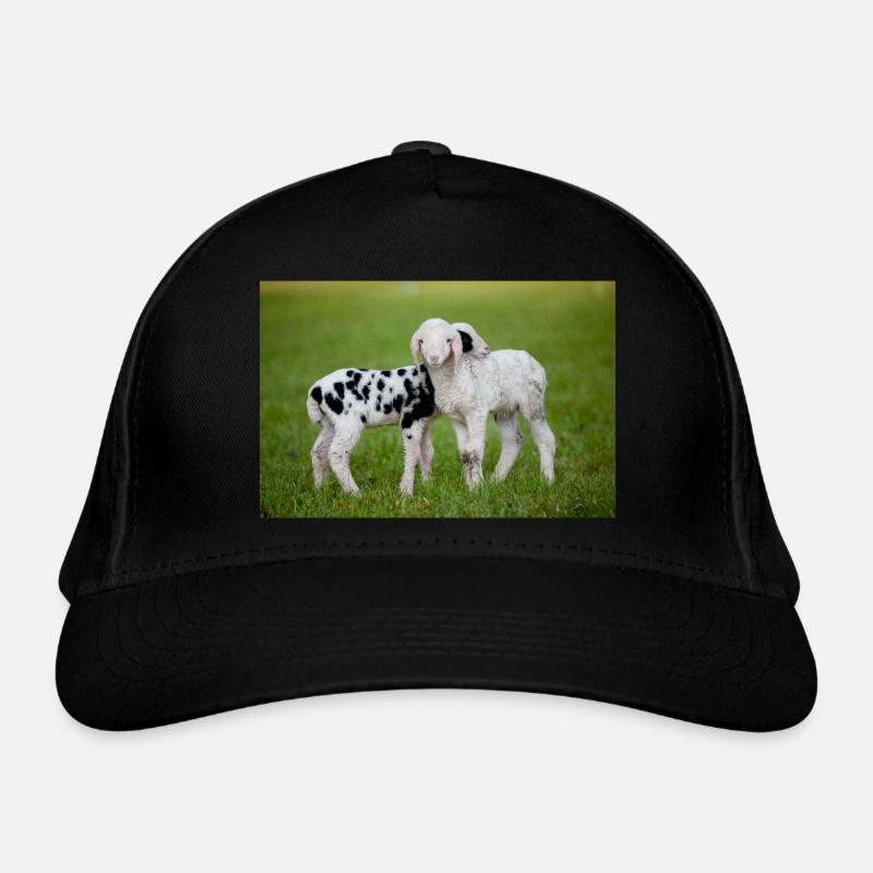 Agneaux Noir et Blanc Casquette classique bio