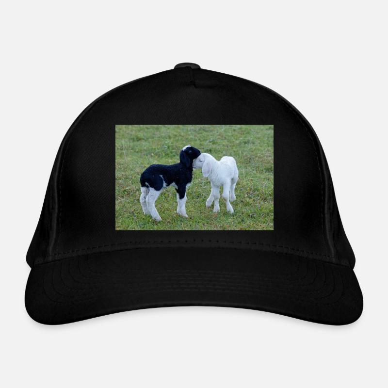 Lämmer schwarz weiss Bio-Baseballkappe