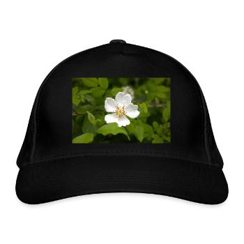 Feld-Rose - Bio-Baseballkappe - Schwarz - Vorne
