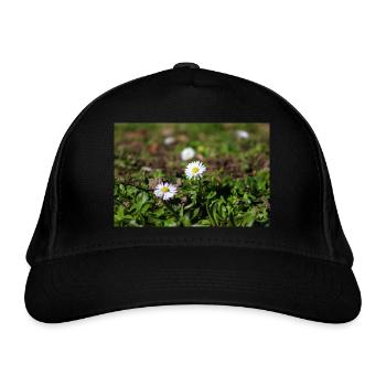 Gänseblümchen - Bio-Baseballkappe - Schwarz - Vorne