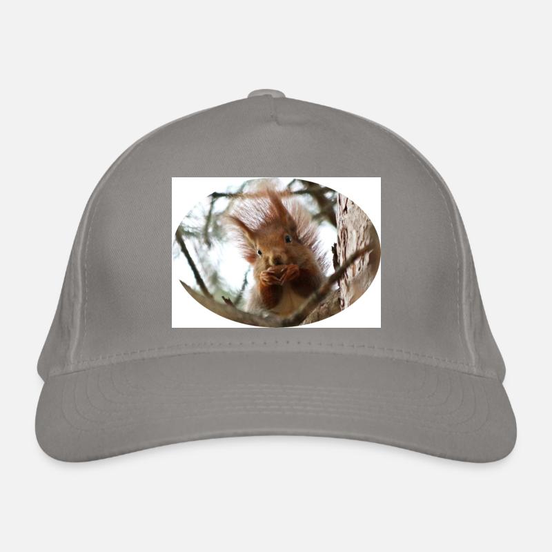 Eichhörnchen, Isibat Bio-Baseballkappe
