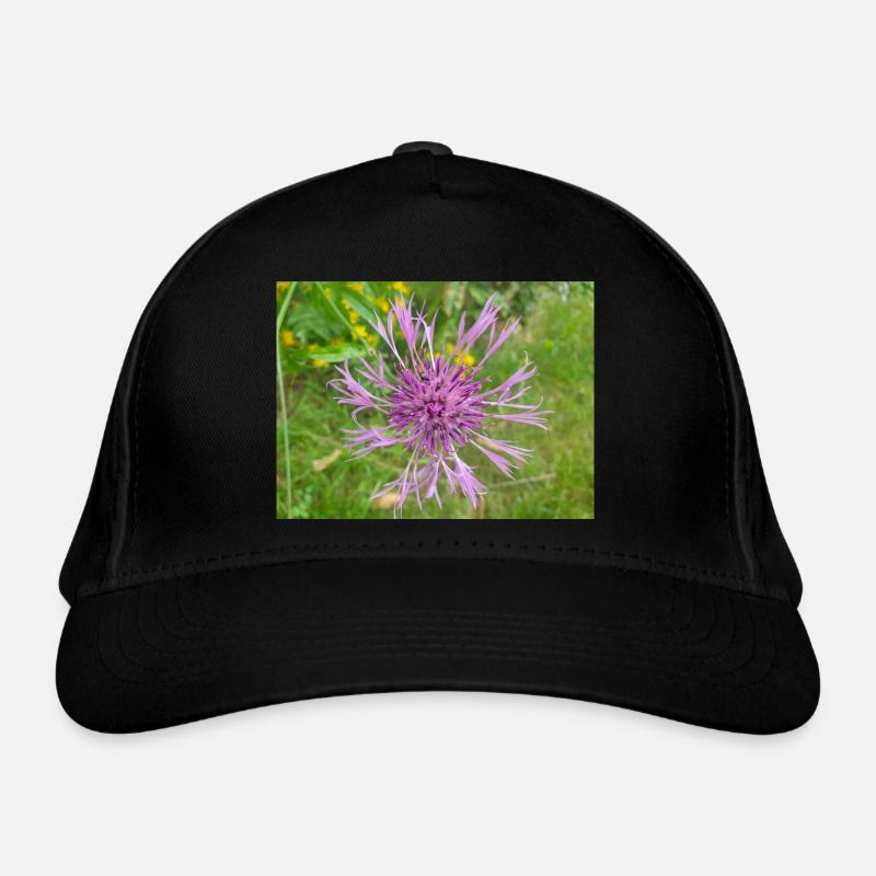 centaurée aussi centaurea Skabiosen-Flocken Casquette classique bio