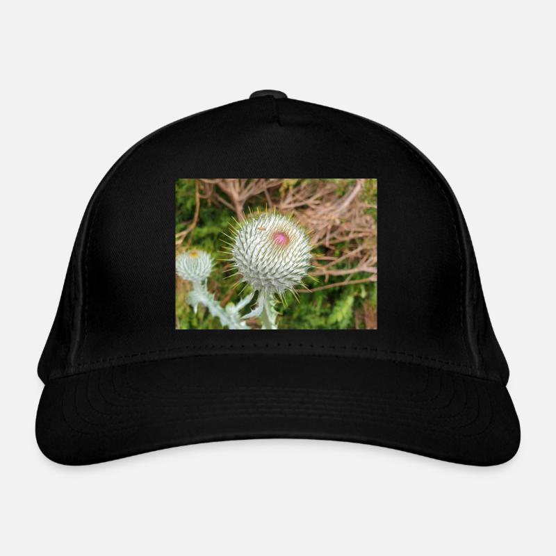 Scotch cotton thistle also woolly thistle Organic Baseball Cap