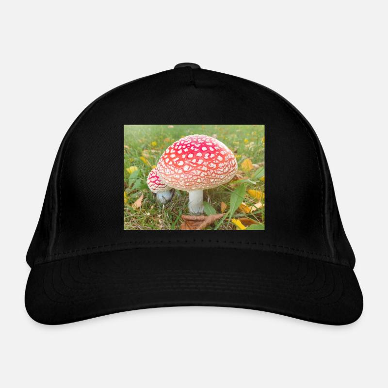 fly agaric also toadstool Organic Baseball Cap