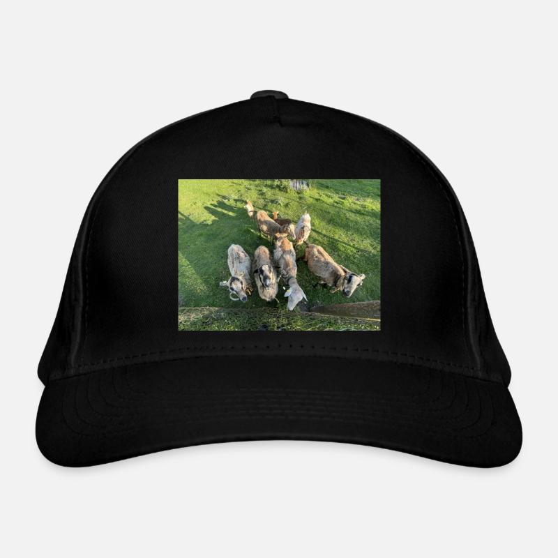 Was ne Herde Bio-Baseballkappe