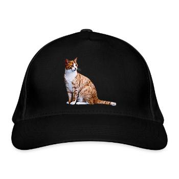 Cat Cats Cat Cats Cat Love - Organic Baseball Cap - black - Front
