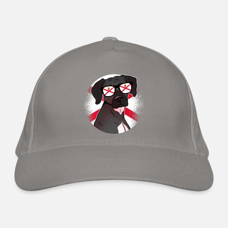 Jersey Casquette classique bio