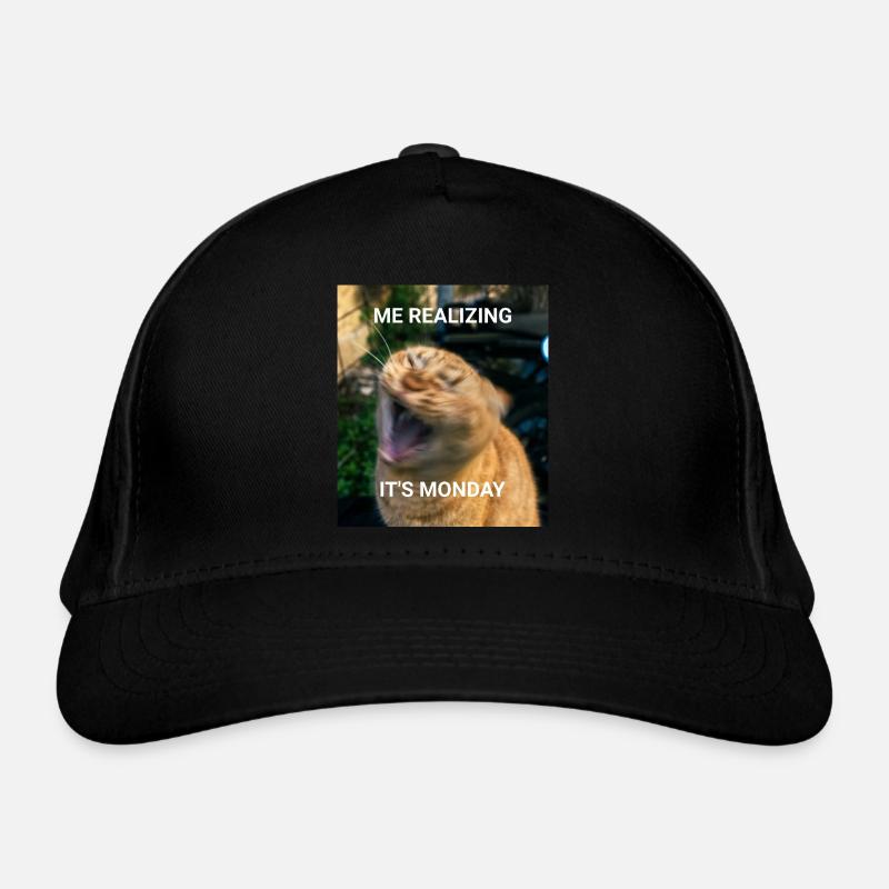 MOI RÉALISANT QUE C’EST LUNDI – Red Cats Memes Casquette classique bio
