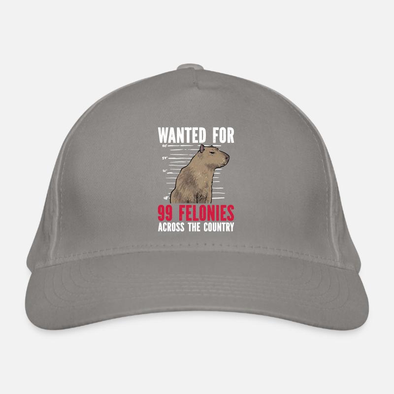 Capybara rodent Organic Baseball Cap